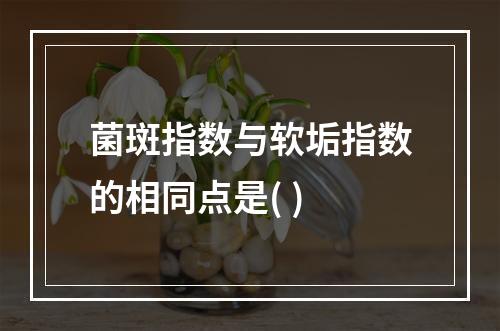 菌斑指数与软垢指数的相同点是( )