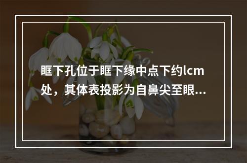 眶下孔位于眶下缘中点下约lcm处，其体表投影为自鼻尖至眼外角