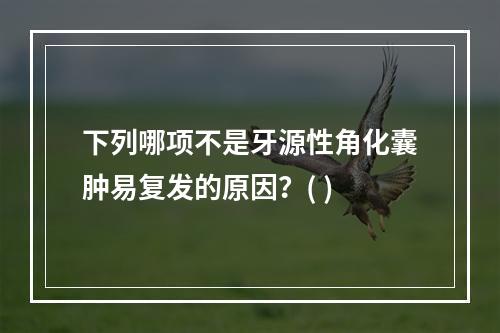 下列哪项不是牙源性角化囊肿易复发的原因？( )