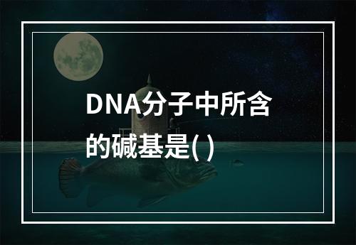 DNA分子中所含的碱基是( )