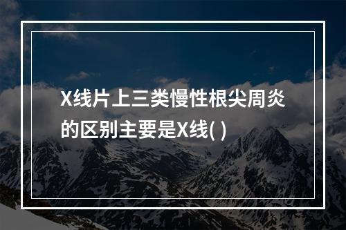 X线片上三类慢性根尖周炎的区别主要是X线( )