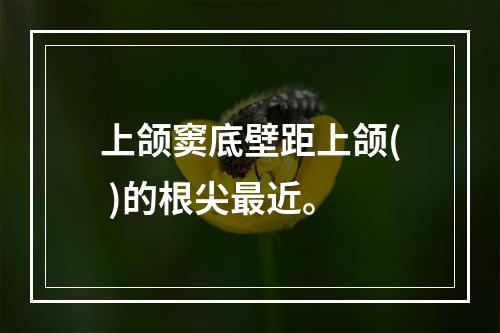 上颌窦底壁距上颌( )的根尖最近。