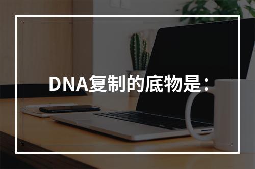 DNA复制的底物是：