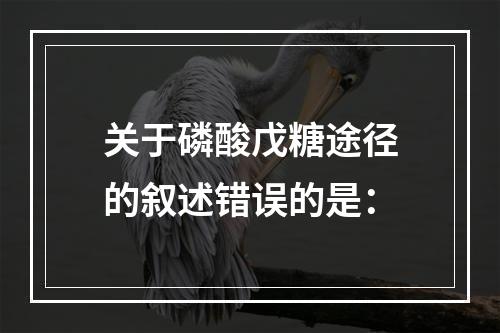 关于磷酸戊糖途径的叙述错误的是：