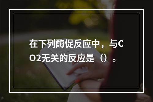 在下列酶促反应中，与CO2无关的反应是（）。