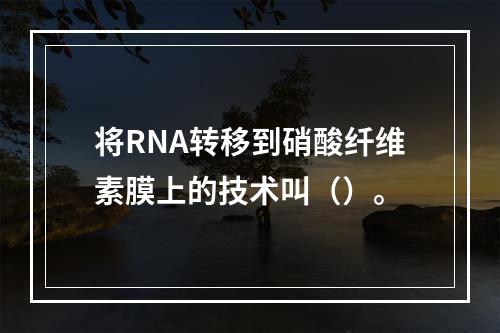 将RNA转移到硝酸纤维素膜上的技术叫（）。