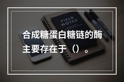 合成糖蛋白糖链的酶主要存在于（）。