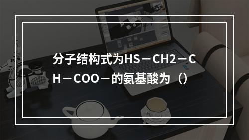 分子结构式为HS－CH2－CH－COO－的氨基酸为（）