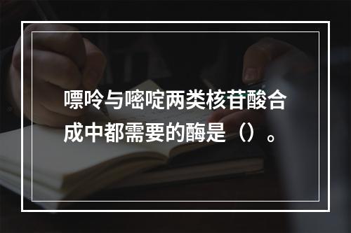 嘌呤与嘧啶两类核苷酸合成中都需要的酶是（）。