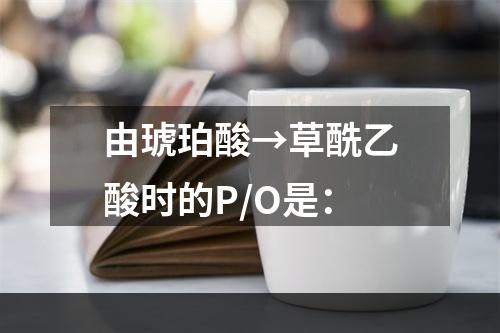 由琥珀酸→草酰乙酸时的P/O是：