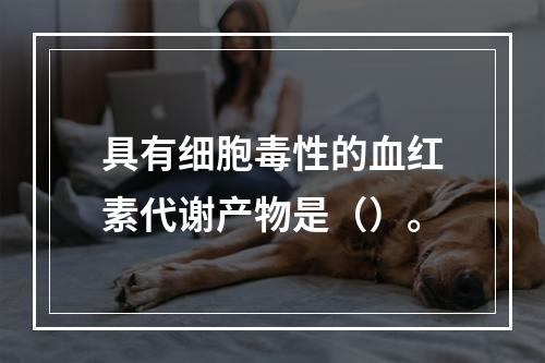 具有细胞毒性的血红素代谢产物是（）。