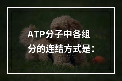 ATP分子中各组分的连结方式是：