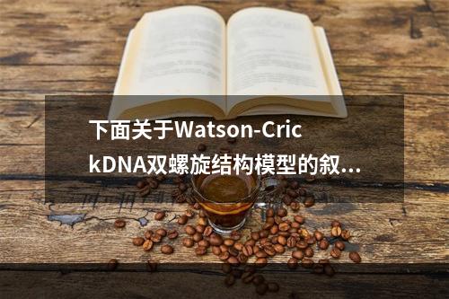 下面关于Watson-CrickDNA双螺旋结构模型的叙述中