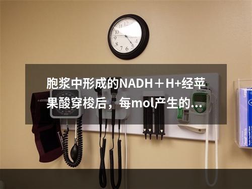 胞浆中形成的NADH＋H+经苹果酸穿梭后，每mol产生的AT