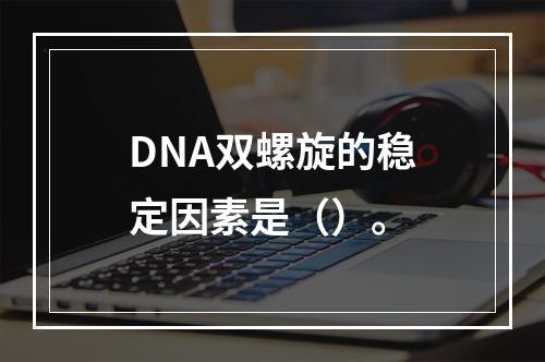 DNA双螺旋的稳定因素是（）。