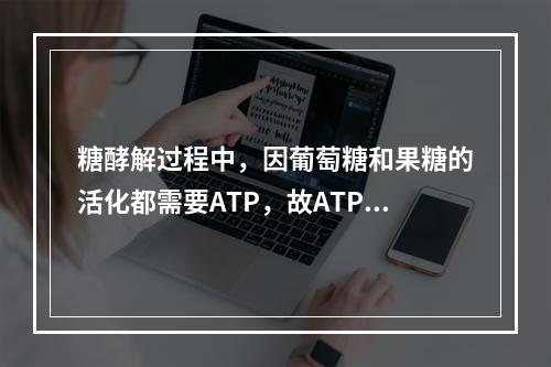 糖酵解过程中，因葡萄糖和果糖的活化都需要ATP，故ATP浓度