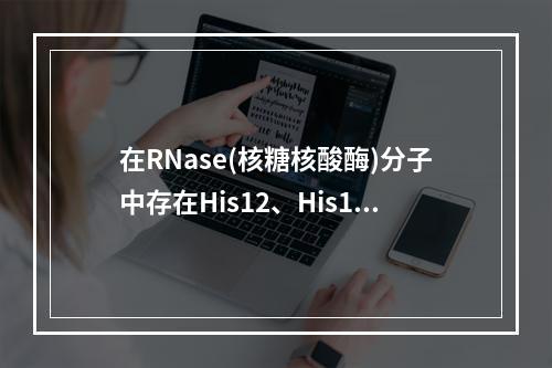 在RNase(核糖核酸酶)分子中存在His12、His119