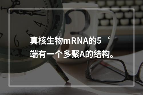 真核生物mRNA的5‘端有一个多聚A的结构。