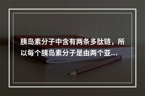 胰岛素分子中含有两条多肽链，所以每个胰岛素分子是由两个亚基构