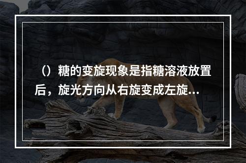 （）糖的变旋现象是指糖溶液放置后，旋光方向从右旋变成左旋或从