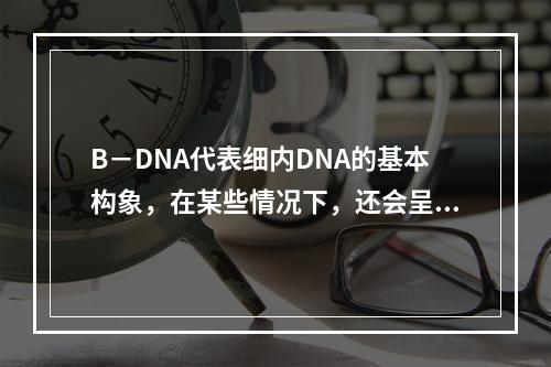 B－DNA代表细内DNA的基本构象，在某些情况下，还会呈现A