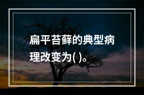 扁平苔藓的典型病理改变为( )。