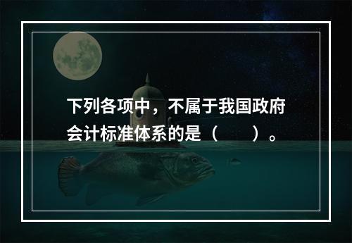 下列各项中，不属于我国政府会计标准体系的是（　　）。