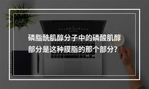 磷脂酰肌醇分子中的磷酸肌醇部分是这种膜脂的那个部分？