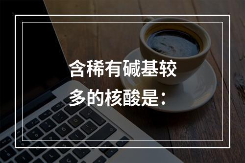 含稀有碱基较多的核酸是：