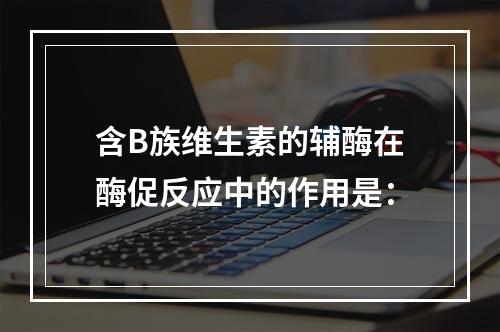 含B族维生素的辅酶在酶促反应中的作用是：