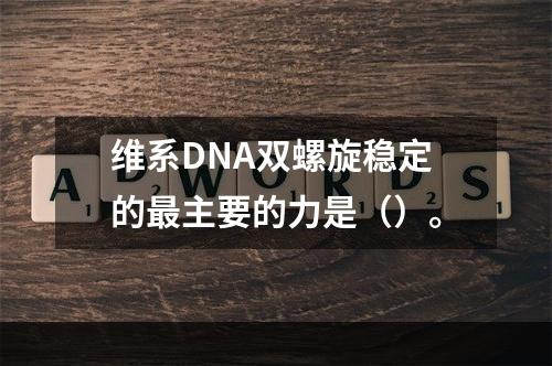 维系DNA双螺旋稳定的最主要的力是（）。