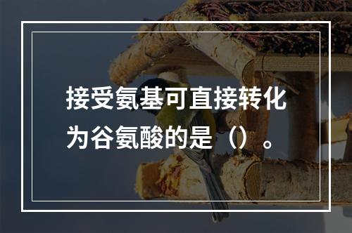 接受氨基可直接转化为谷氨酸的是（）。