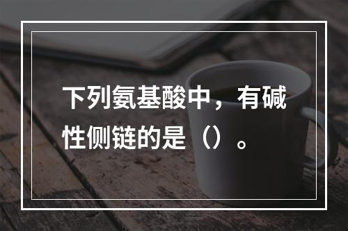 下列氨基酸中，有碱性侧链的是（）。