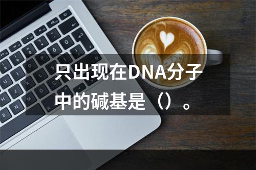 只出现在DNA分子中的碱基是（）。