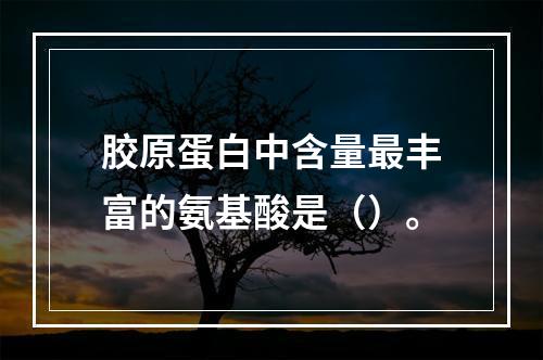 胶原蛋白中含量最丰富的氨基酸是（）。