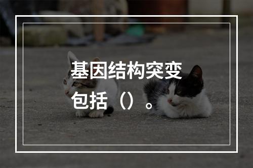 基因结构突变包括（）。