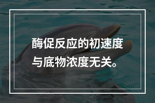 酶促反应的初速度与底物浓度无关。