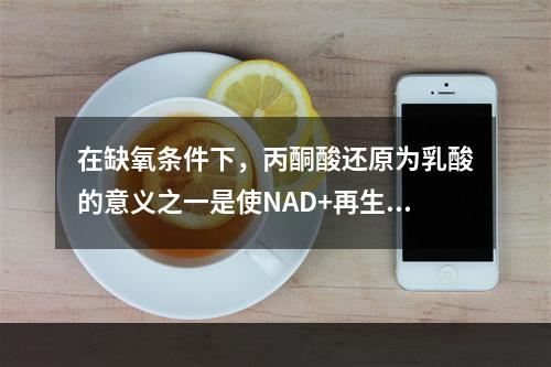 在缺氧条件下，丙酮酸还原为乳酸的意义之一是使NAD+再生。