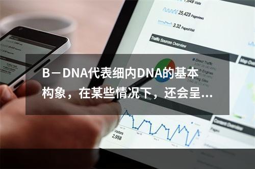 B－DNA代表细内DNA的基本构象，在某些情况下，还会呈现A