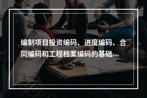 编制项目投资编码、进度编码、合同编码和工程档案编码的基础是（