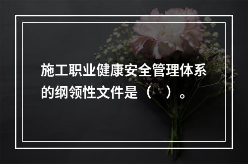 施工职业健康安全管理体系的纲领性文件是（　）。