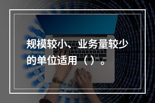 规模较小、业务量较少的单位适用（ ）。