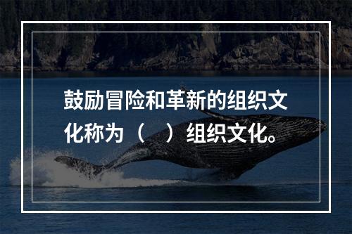 鼓励冒险和革新的组织文化称为（　）组织文化。