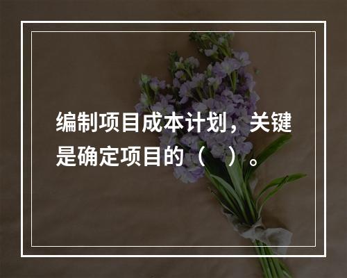 编制项目成本计划，关键是确定项目的（　）。