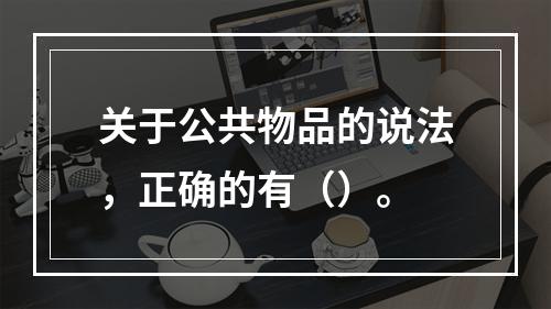 关于公共物品的说法，正确的有（）。