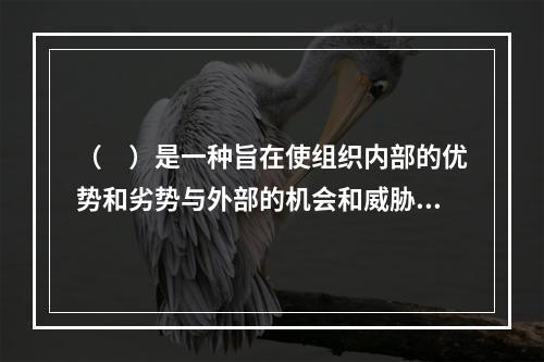 （　）是一种旨在使组织内部的优势和劣势与外部的机会和威胁相