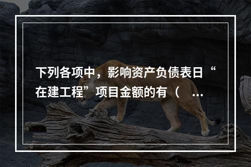 下列各项中，影响资产负债表日“在建工程”项目金额的有（　　）