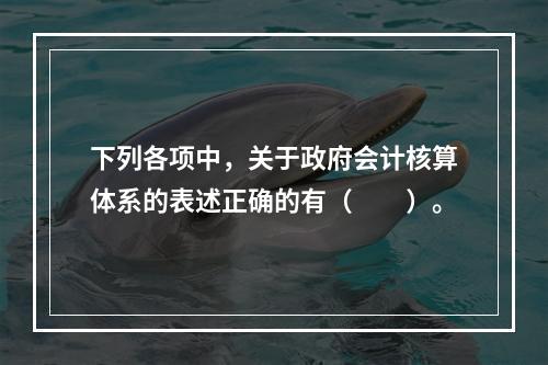 下列各项中，关于政府会计核算体系的表述正确的有（　　）。