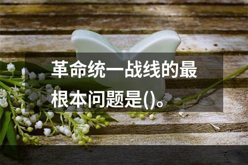 革命统一战线的最根本问题是()。