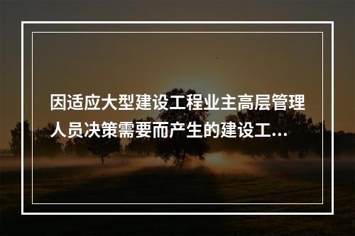 因适应大型建设工程业主高层管理人员决策需要而产生的建设工程